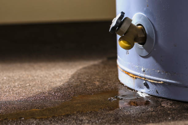 Best Flood restoration services  in Severna Park, MD