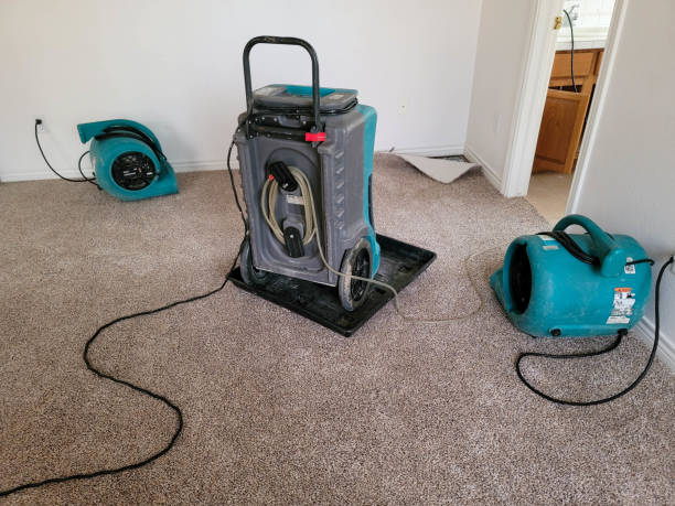Best Local water damage restoration  in Severna Park, MD