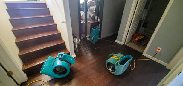 Best Flood restoration services  in Severna Park, MD