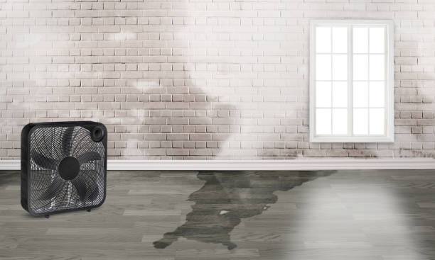 Best Fire Damage Restoration  in Severna Park, MD