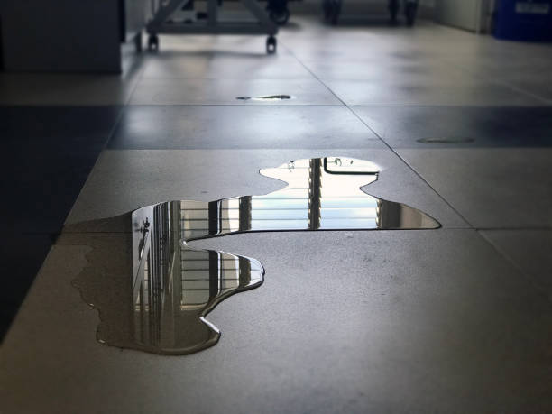 Best 24-hour water damage restoration  in Severna Park, MD