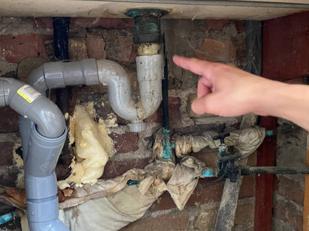 Best Flood damage cleanup  in Severna Park, MD