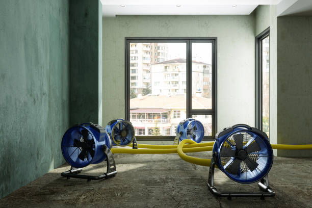 Best Water damage restoration cost  in Severna Park, MD